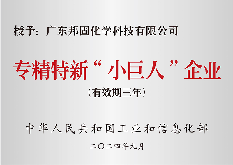 專(zhuān)精特新小巨人企業(yè)(國(guó)家級(jí))